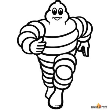 Michelin autómatrica