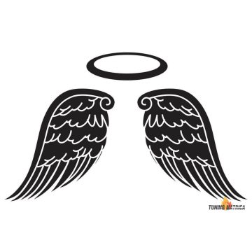 Angyalszárny autómatrica