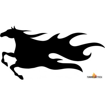 Száguldó ló autómatrica