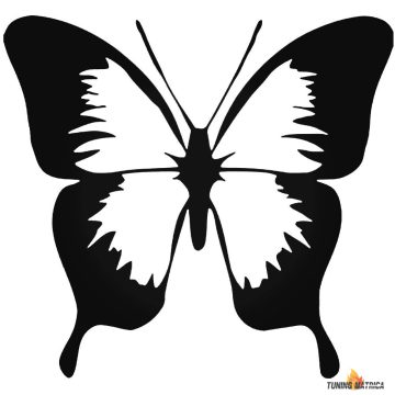 Pillangó autómatrica