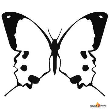 Pillangó 2 autómatrica