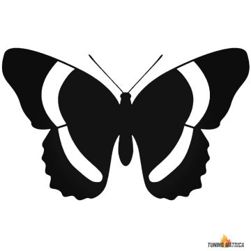 Pillangó 4 autómatrica