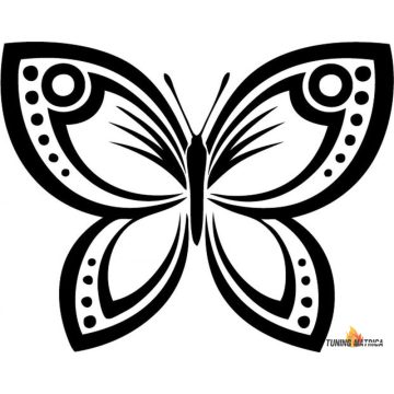 Díszes pillangó matrica