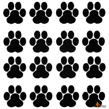 Tappancs matricaszett