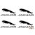 Jaguar felni matrica (4 db)